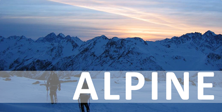 alpine button